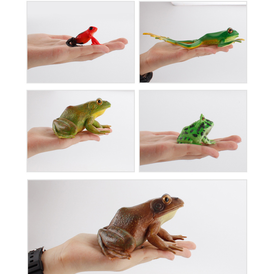 Realistic Amphibians Frogs Lif - Kids Toys Cycle ulasan dan harga