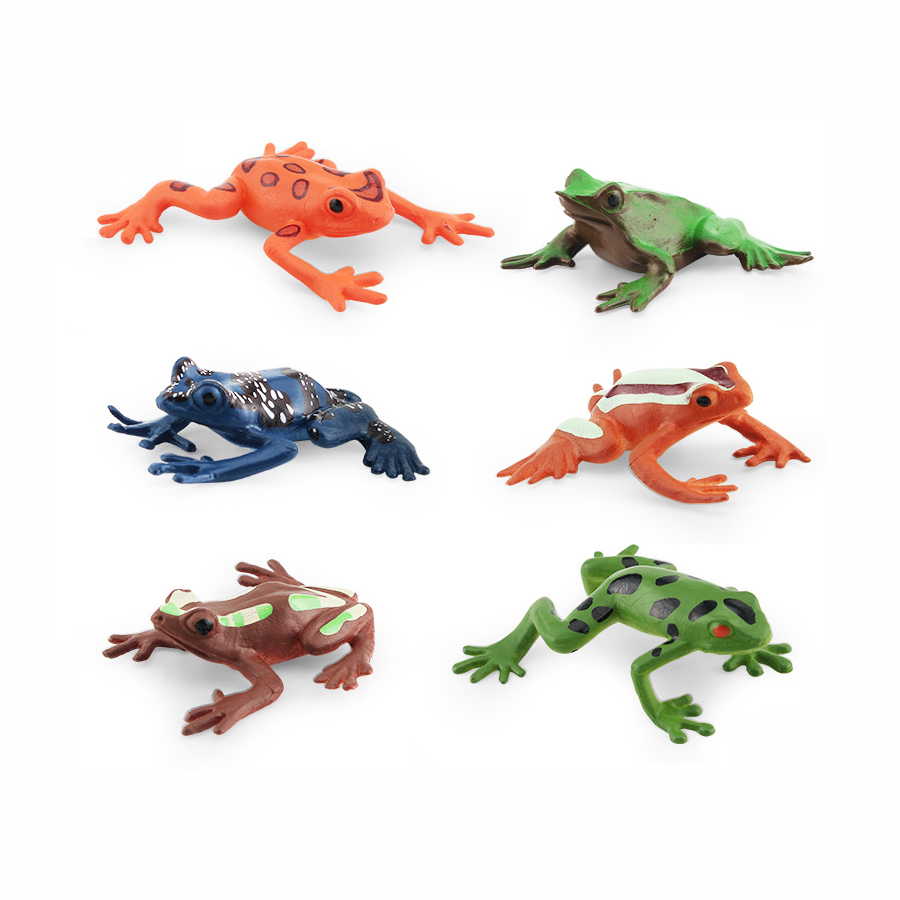 Realistic Amphibians Frogs Lif - Kids Toys Cycle ulasan dan harga