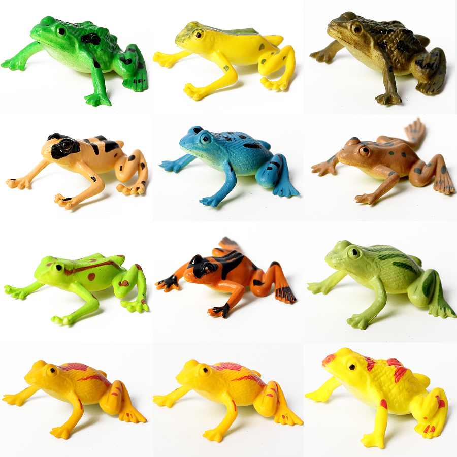 Realistic Amphibians Frogs Lif - Kids Toys Cycle ulasan dan harga