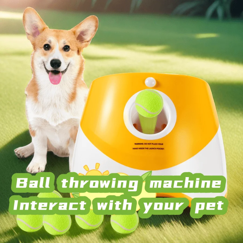 Dog Launcher Automatic Dogs Ch - Catapult Launcher Toy ulasan dan harga