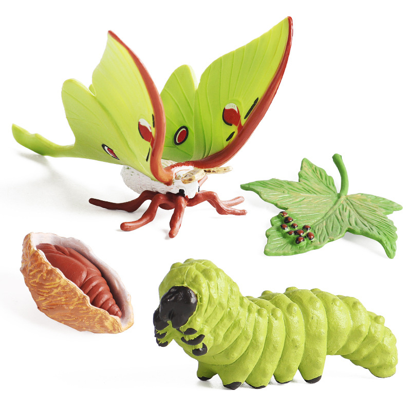 Kids Cognitive Educational Toy - Kids Toys Cycle ulasan dan harga