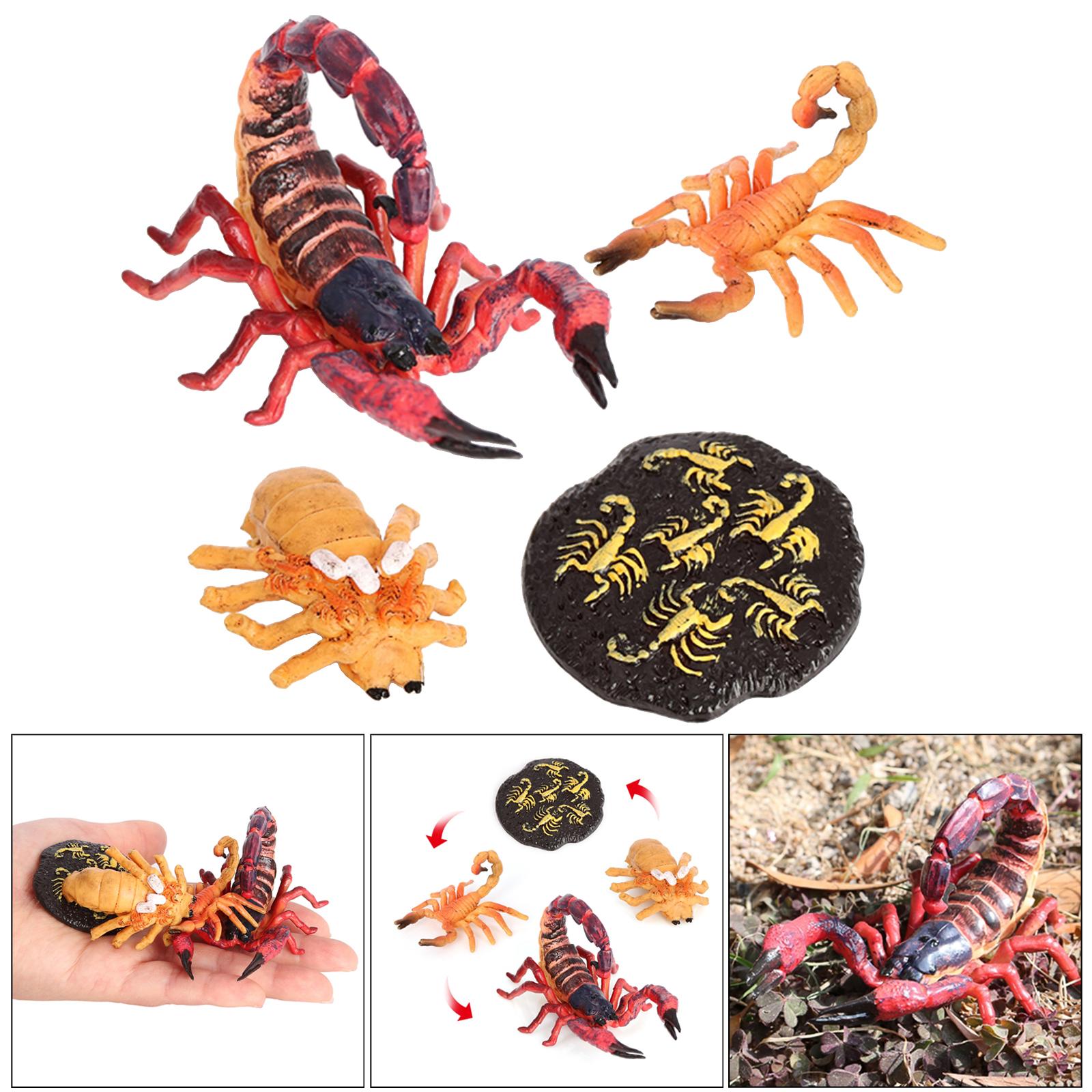 4Pcs Kids Insect Growth Playse - Kids Toys Cycle ulasan dan harga