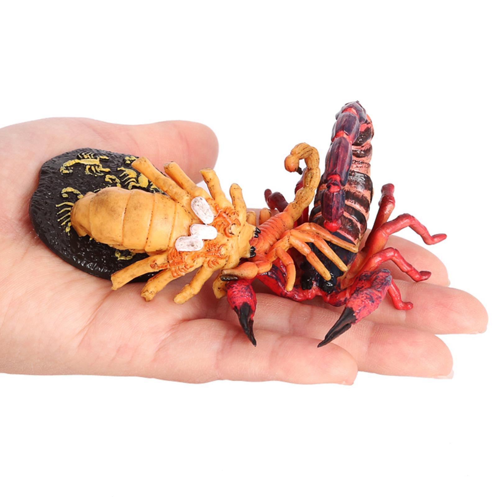 4Pcs Kids Insect Growth Playse - Kids Toys Cycle ulasan dan harga