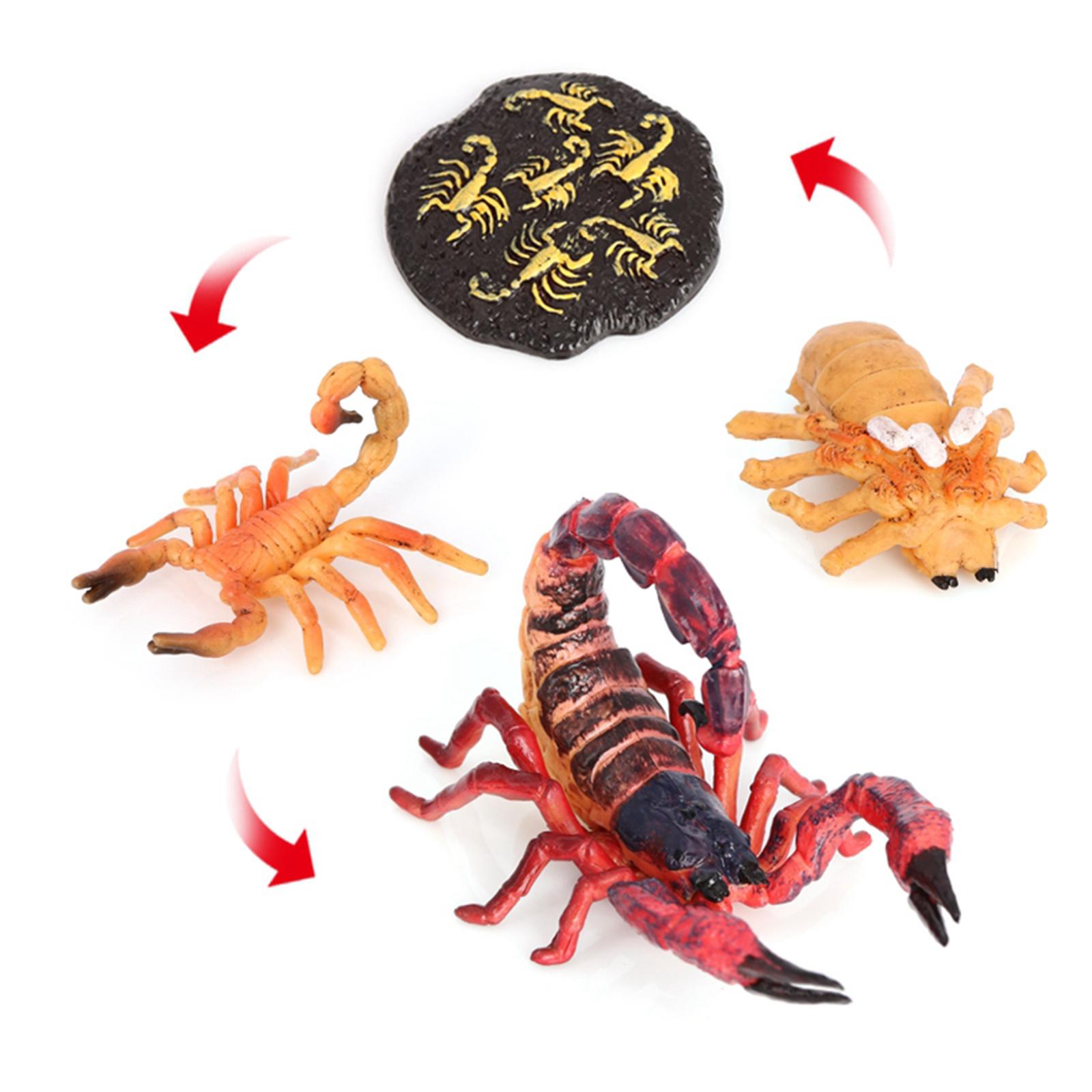 4Pcs Kids Insect Growth Playse - Kids Toys Cycle ulasan dan harga