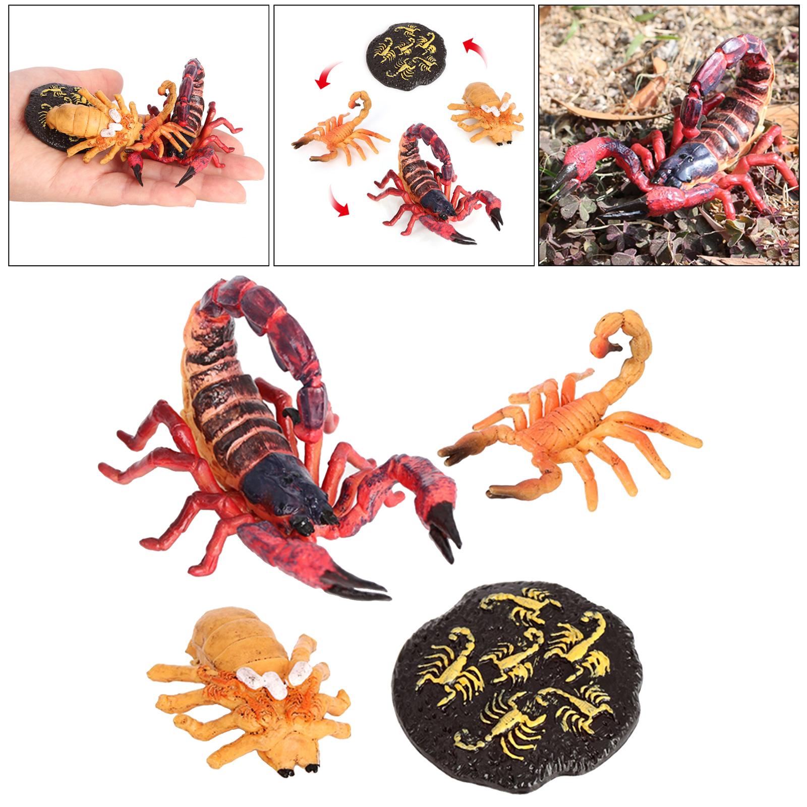 4Pcs Kids Insect Growth Playse - Kids Toys Cycle ulasan dan harga