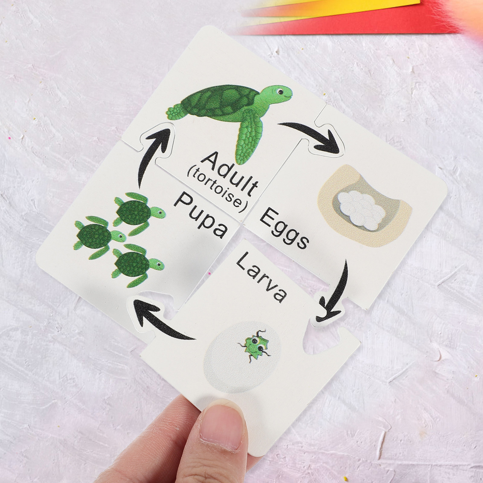 7 Sets Children Puzzle Toys Li - Kids Toys Cycle ulasan dan harga