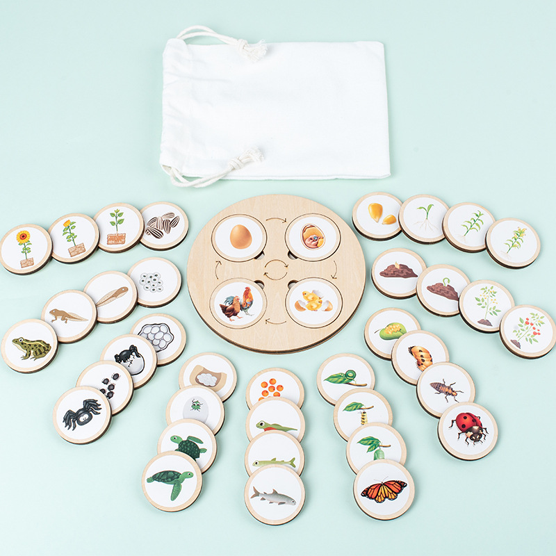 Life Cycle Board Montessori Ki - Kids Toys Cycle ulasan dan harga