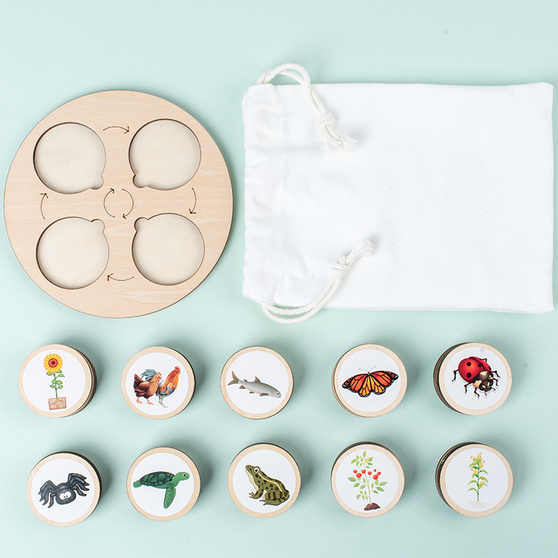 Life Cycle Board Montessori Ki - Kids Toys Cycle ulasan dan harga