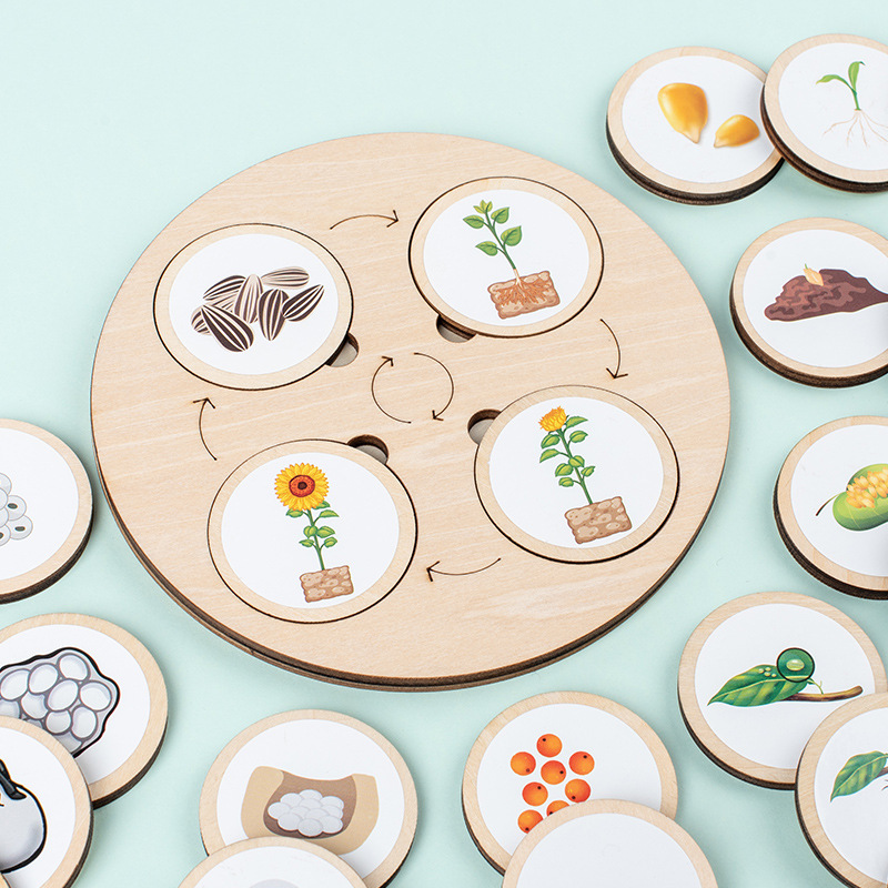 Life Cycle Board Montessori Ki - Kids Toys Cycle ulasan dan harga